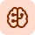 icon-brain